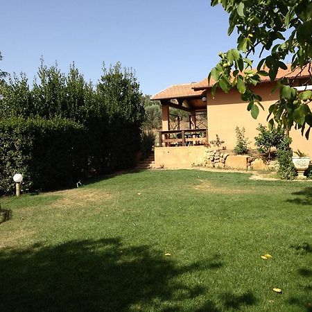 Agriturismo San Mauro Capalbio Eksteriør billede