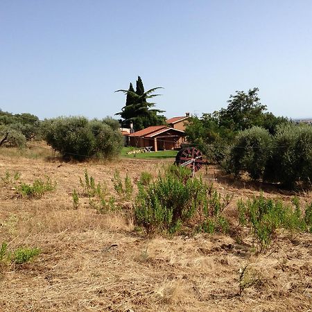 Agriturismo San Mauro Capalbio Eksteriør billede