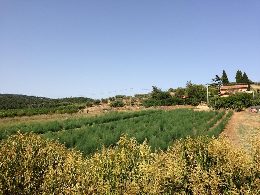 Agriturismo San Mauro Capalbio Eksteriør billede