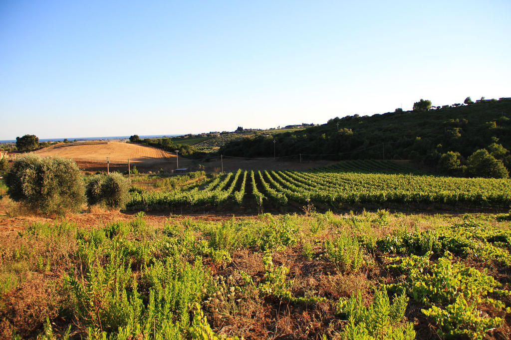 Agriturismo San Mauro Capalbio Eksteriør billede