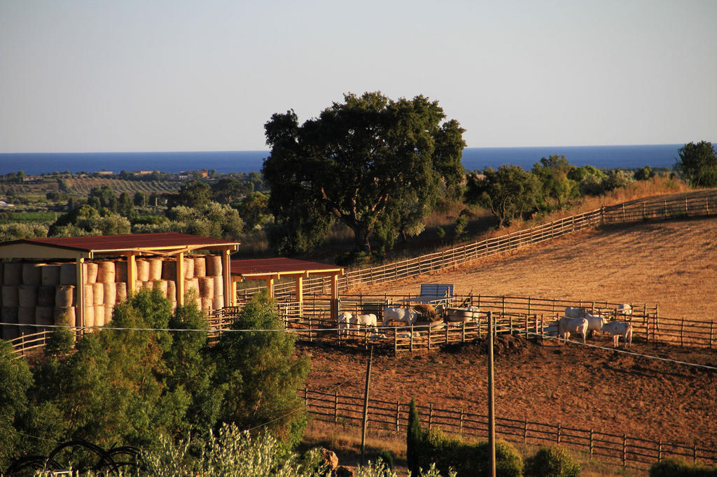 Agriturismo San Mauro Capalbio Eksteriør billede