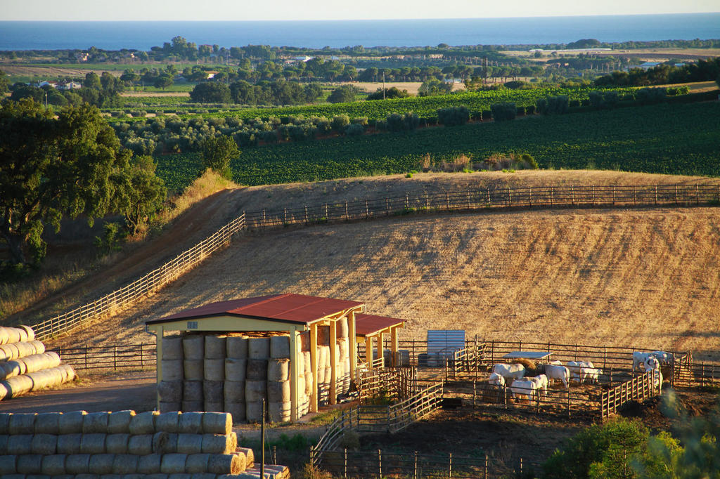 Agriturismo San Mauro Capalbio Eksteriør billede