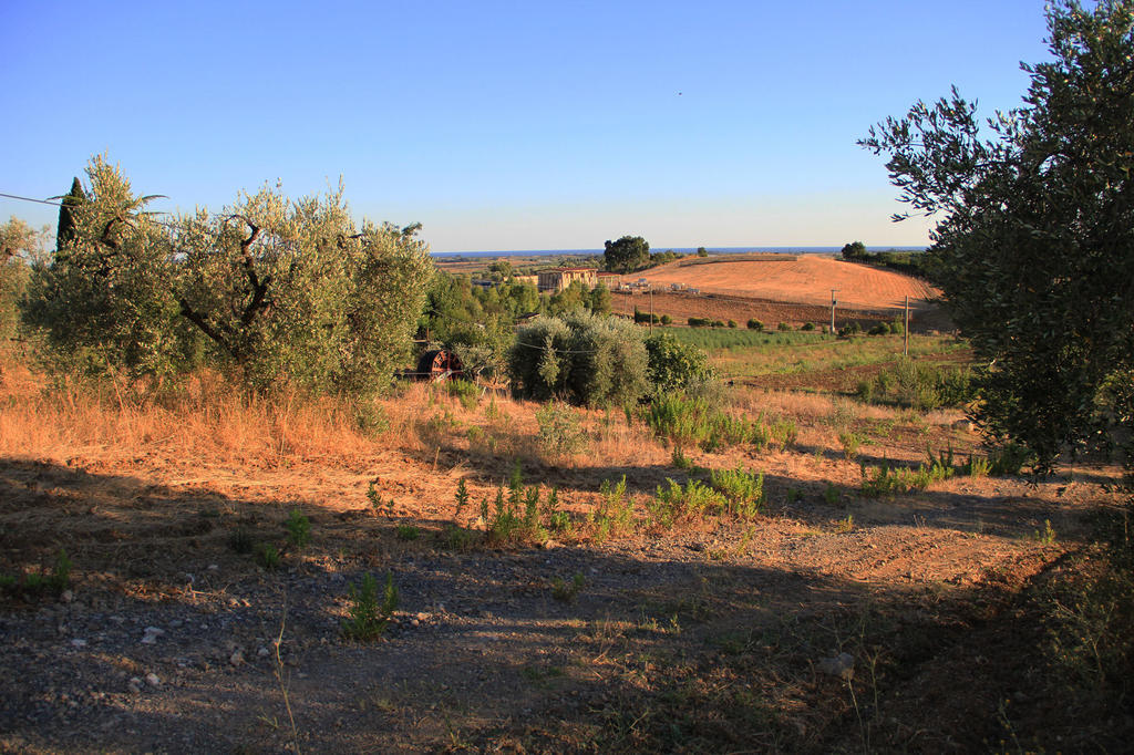 Agriturismo San Mauro Capalbio Eksteriør billede